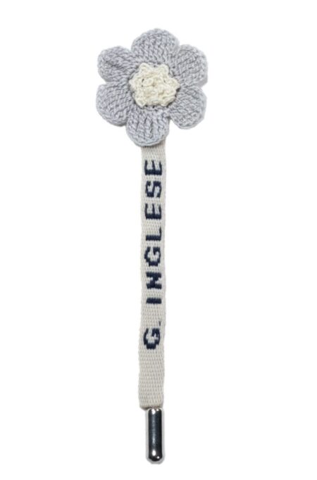 Grey and White Daisy Flower