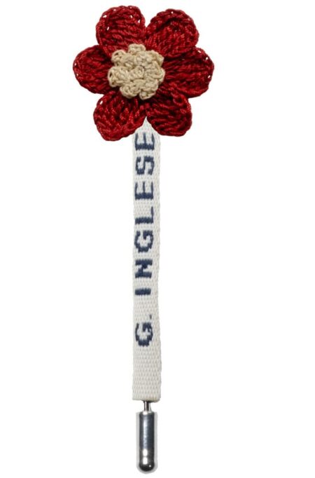 Red and Beige Daisy Flower