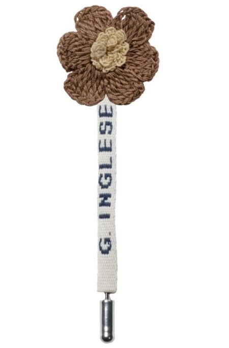 Light Brown and Beige Daisy Flower