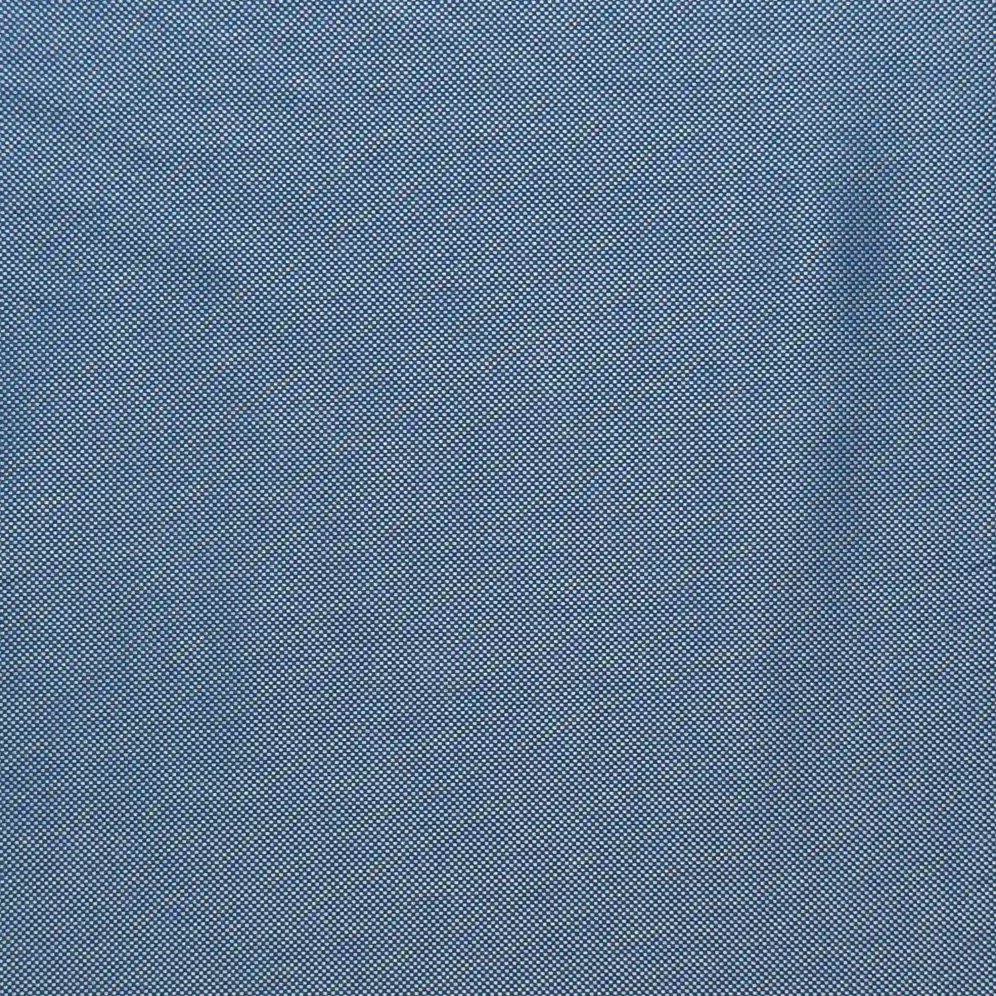 Blue Oxford