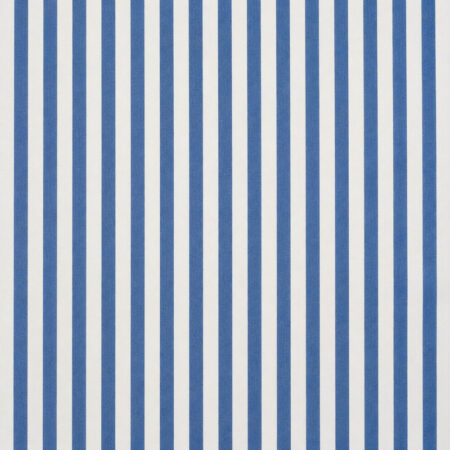 Blue Striped Twill