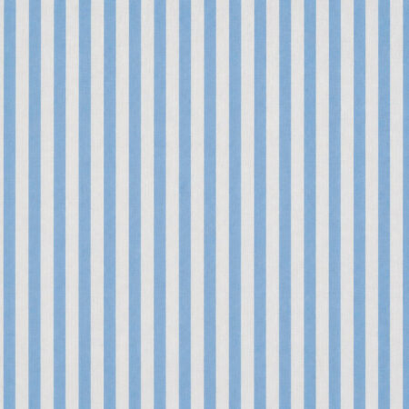 Light Blue Exclusive Fine Striped Twill