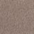 Dove Grey Beaver